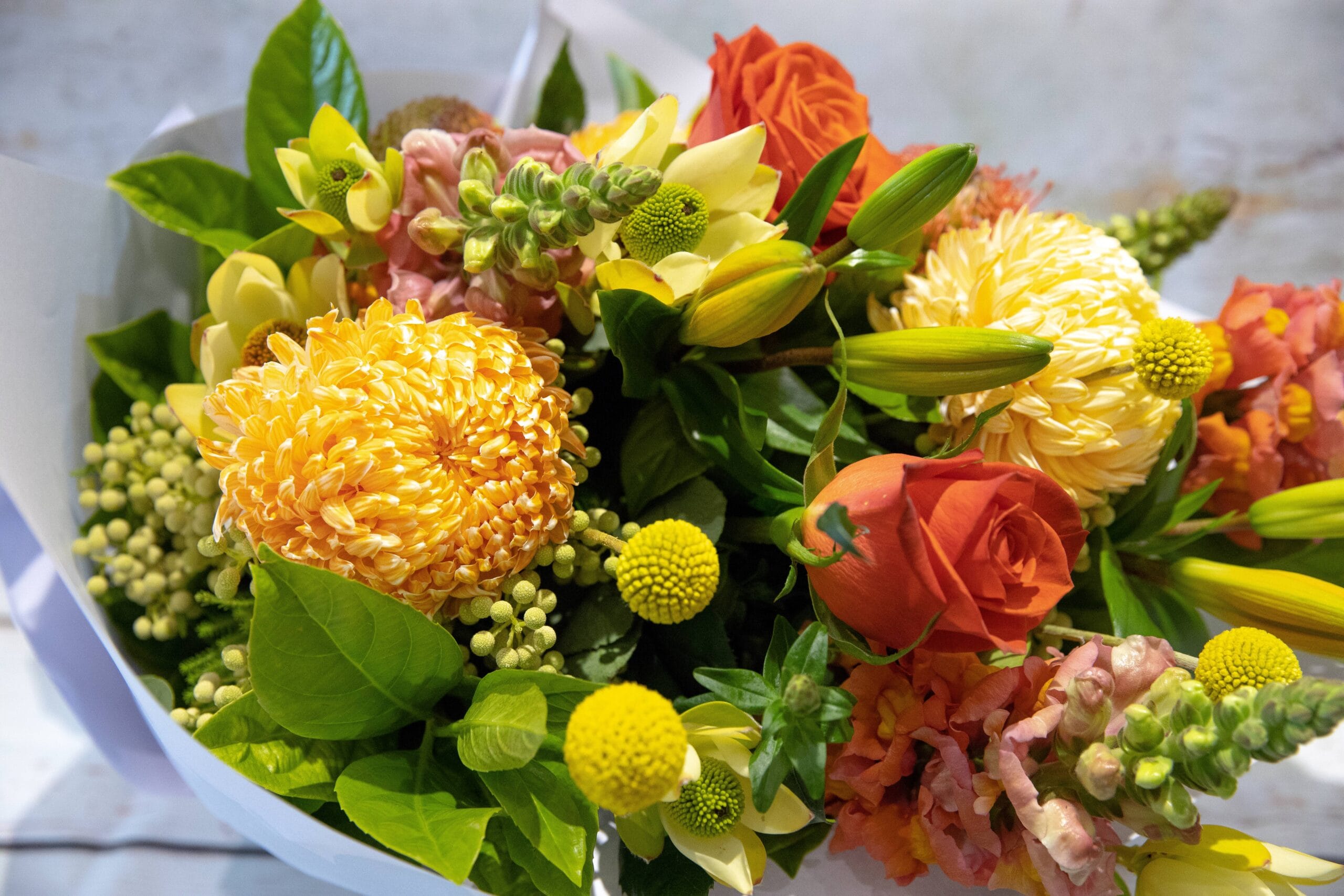 These Flowers Makes The Best Christmas Gifts – Order Now!