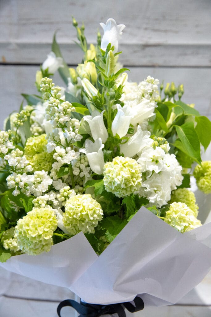 Tranquil Whites