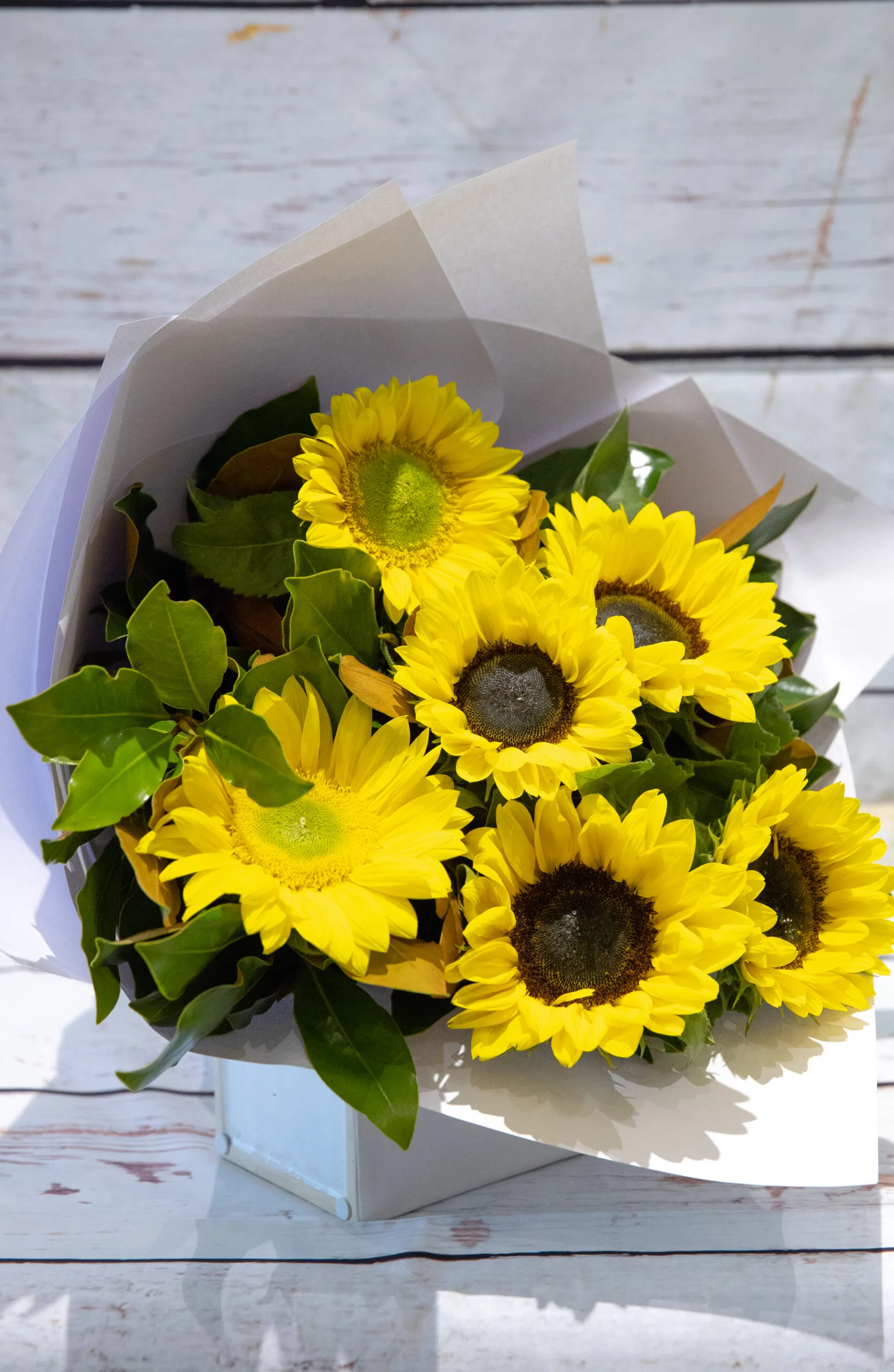 Sunshine - Image 2