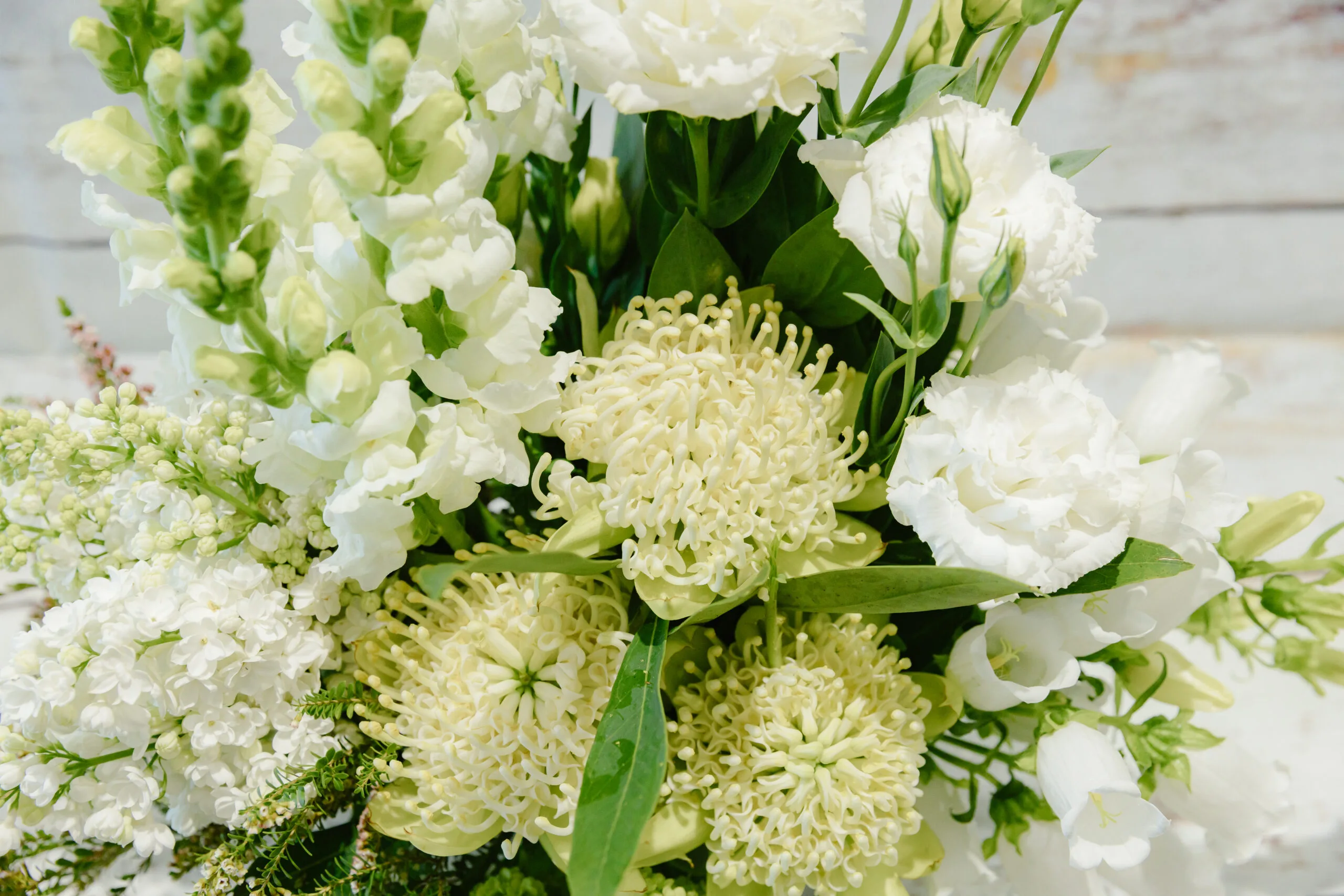 Heavenly Whites - Image 2