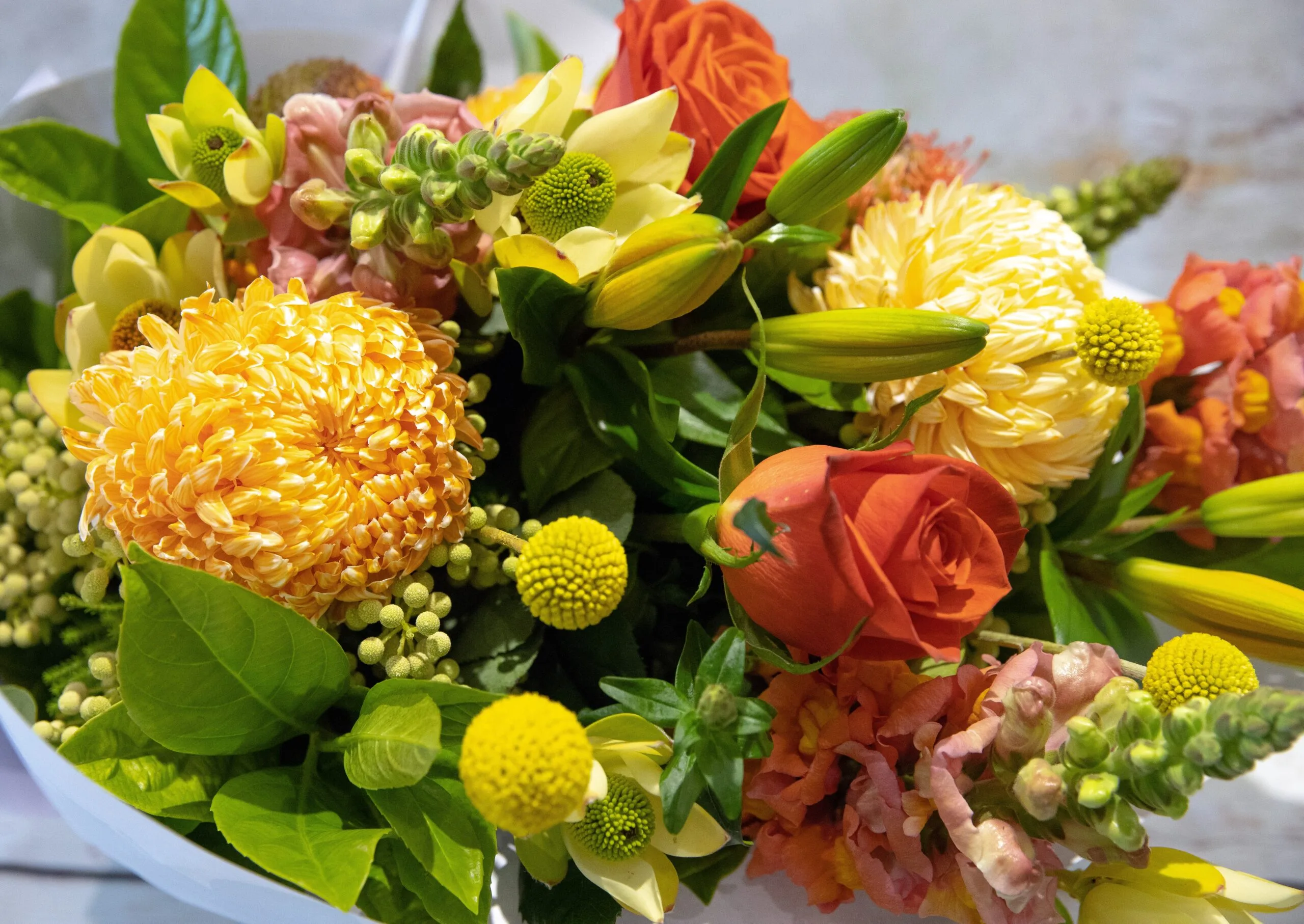 Flamboyant Brights
