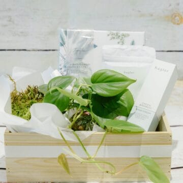Serenity gift hamper with pothos plant, Huxter body care and planner – Blossoms of Blackburn